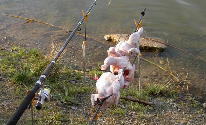 Atentie,imagini socante +18 - 1828713704685130526842082017981n.jpg